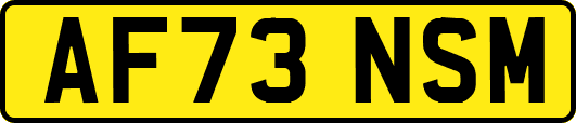 AF73NSM