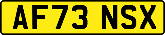 AF73NSX