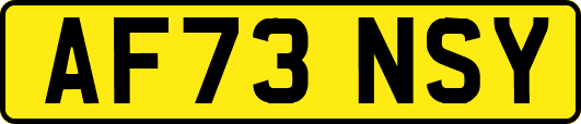 AF73NSY