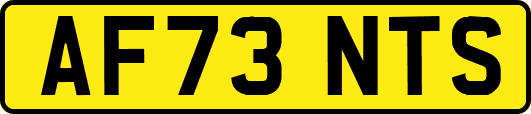 AF73NTS
