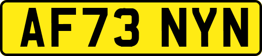 AF73NYN