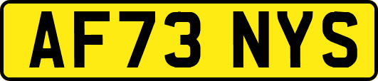 AF73NYS