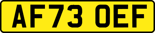 AF73OEF