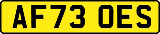 AF73OES