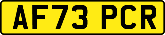 AF73PCR