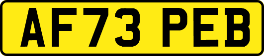 AF73PEB