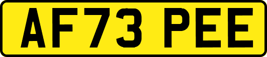 AF73PEE
