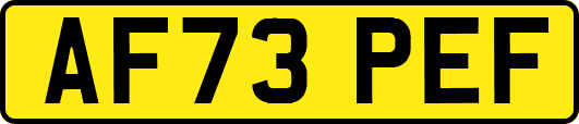 AF73PEF