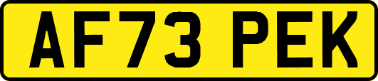 AF73PEK