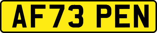 AF73PEN