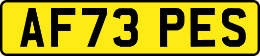 AF73PES