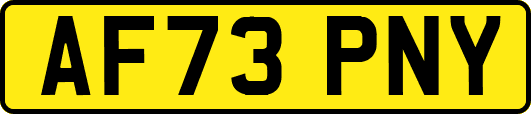AF73PNY