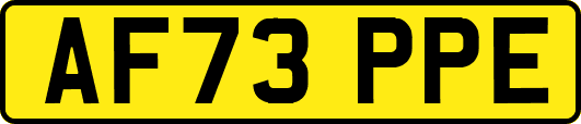 AF73PPE