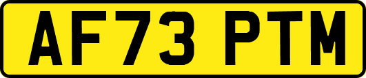 AF73PTM
