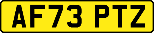AF73PTZ