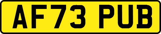 AF73PUB