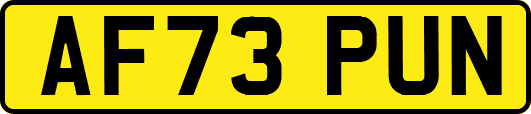 AF73PUN