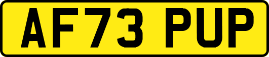 AF73PUP