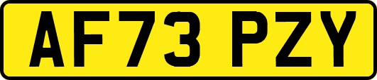 AF73PZY