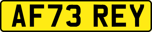 AF73REY