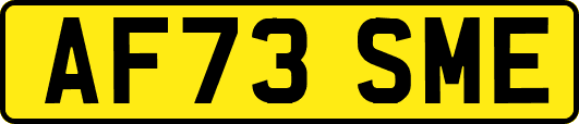 AF73SME