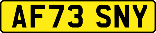 AF73SNY