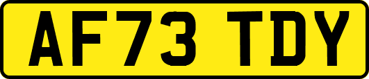 AF73TDY