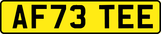AF73TEE