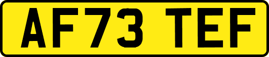 AF73TEF