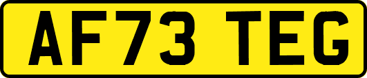 AF73TEG