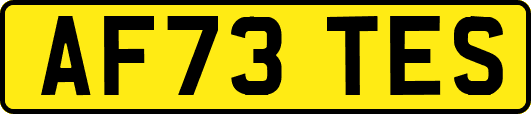 AF73TES