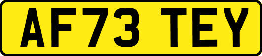 AF73TEY