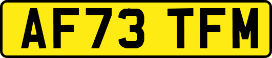 AF73TFM