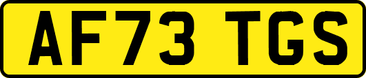 AF73TGS