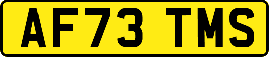 AF73TMS