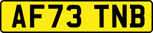 AF73TNB