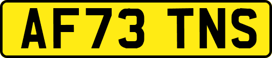 AF73TNS