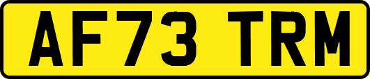 AF73TRM