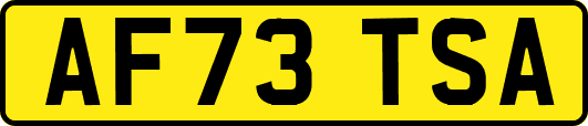 AF73TSA