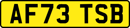 AF73TSB