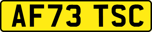 AF73TSC