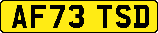 AF73TSD