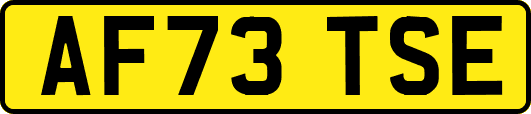AF73TSE