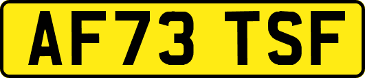 AF73TSF