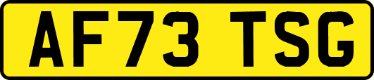 AF73TSG