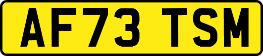 AF73TSM