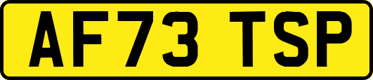 AF73TSP