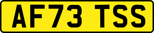 AF73TSS
