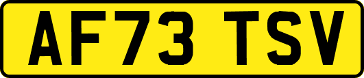 AF73TSV