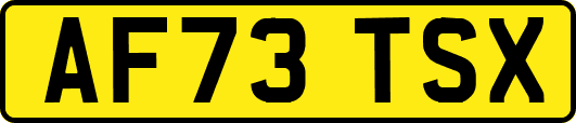 AF73TSX